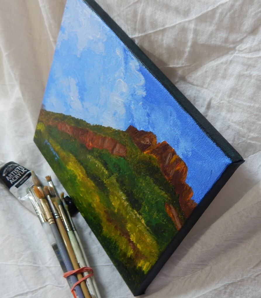 ORIGINAL ART HAND PAINTED APPALACHIAN TRAIL MOUNT ROGERS VA. USA BY SUE FURROW