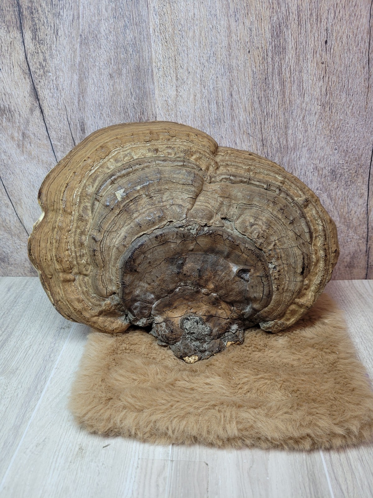 Vintage Hand Painted Conk Mushroom Pixie Scene Folk Art Woodland OOAK 1960s