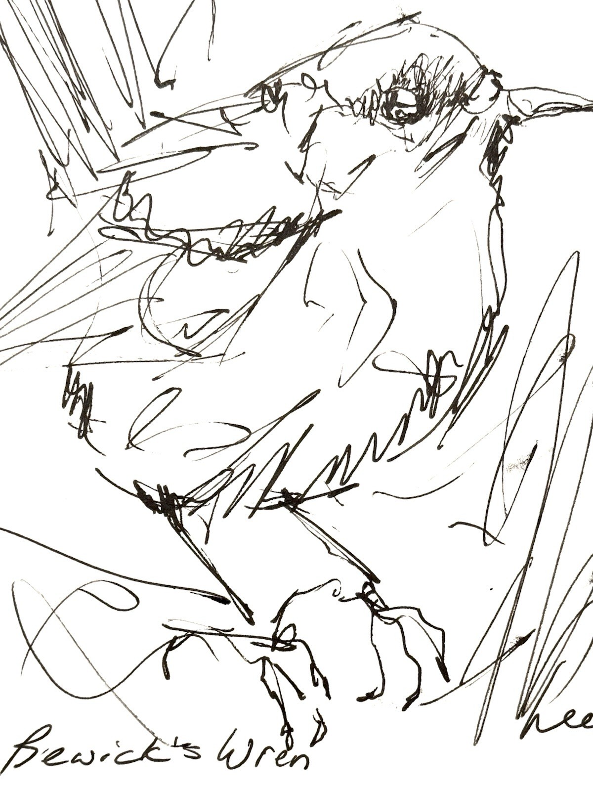 Original Abstract Expressive 9X12 Paper Pen and Ink Bird Handmade Signed 12