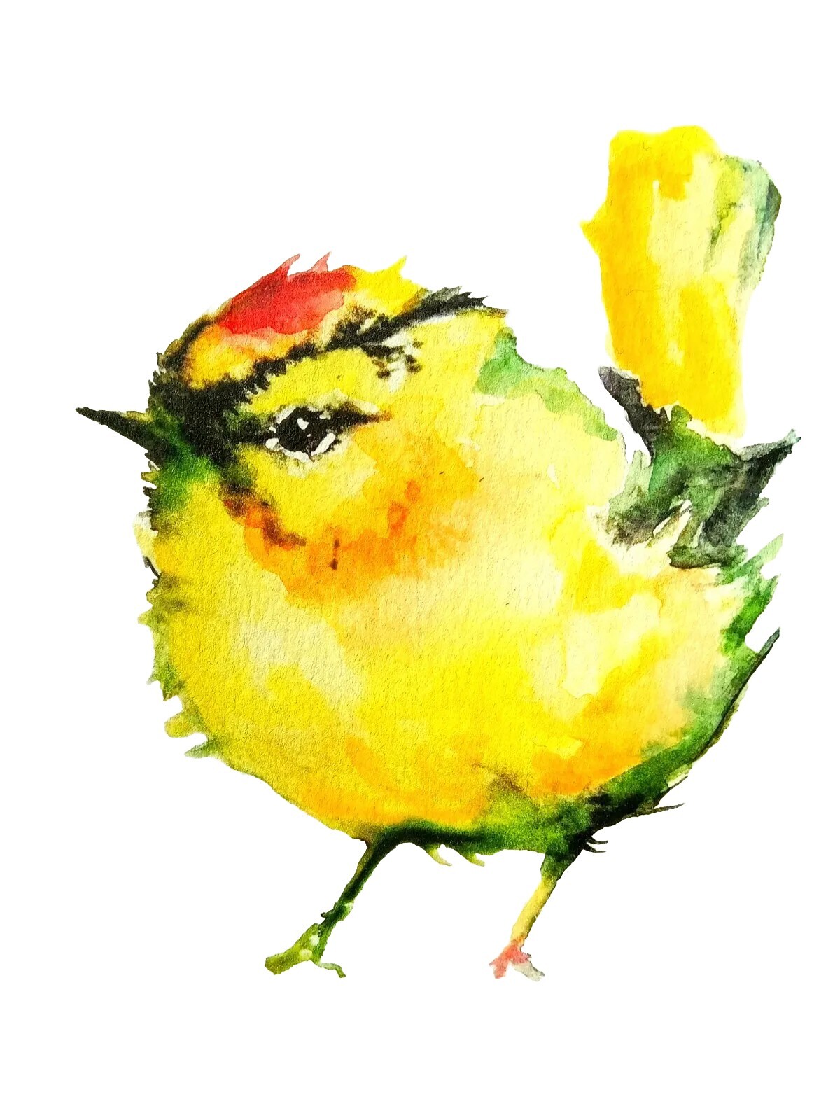 Yellow tit Bird art watercolor painting signed,nature lover unique gift
