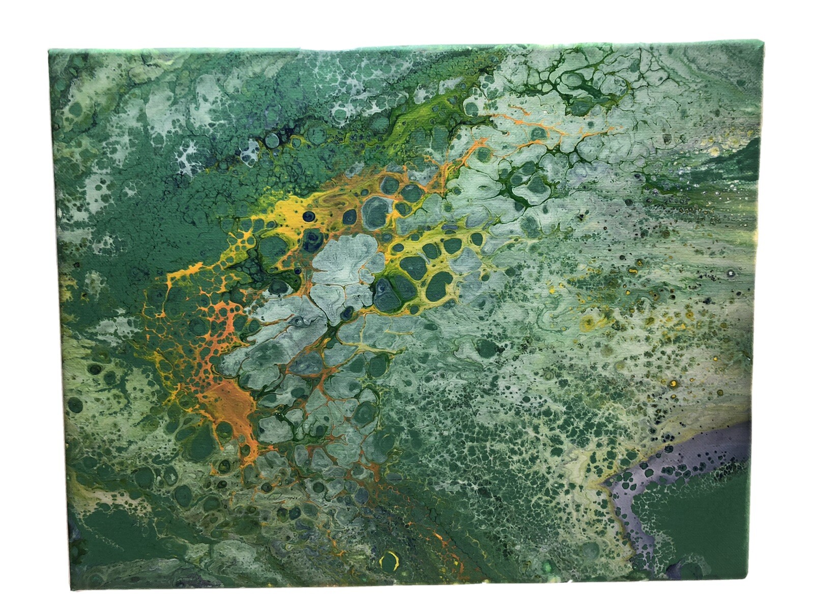 Acrylic Pour Painting – Original Abstract – 11×14 – Signed – Apo Reef