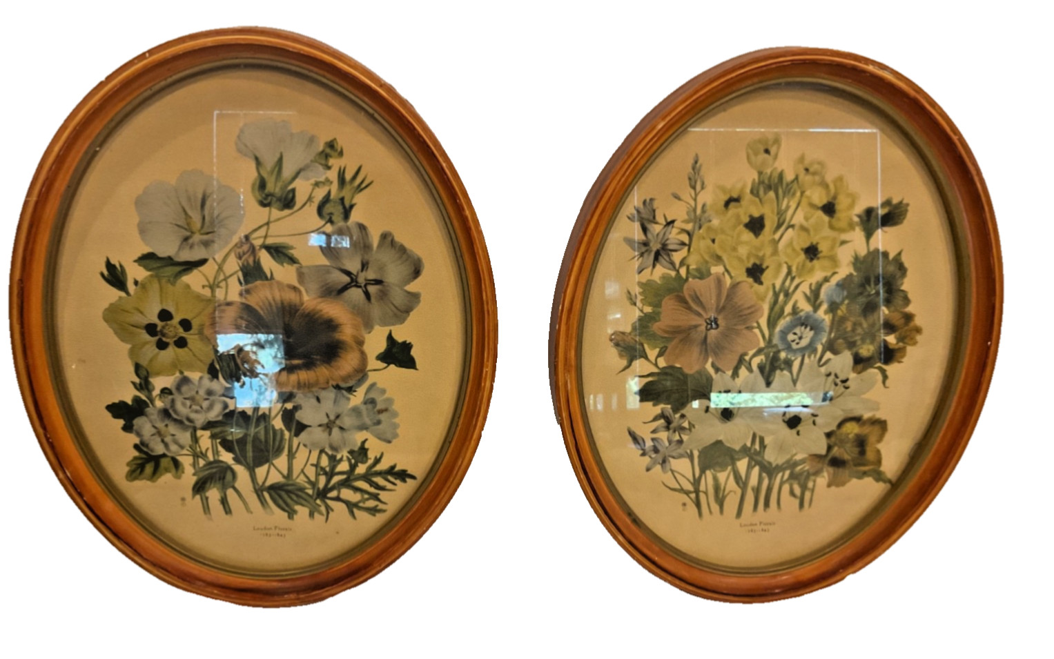 Vintage HBS & Jane Loudon Florals Prints wooden framed 1783-1843 Flowers Pair