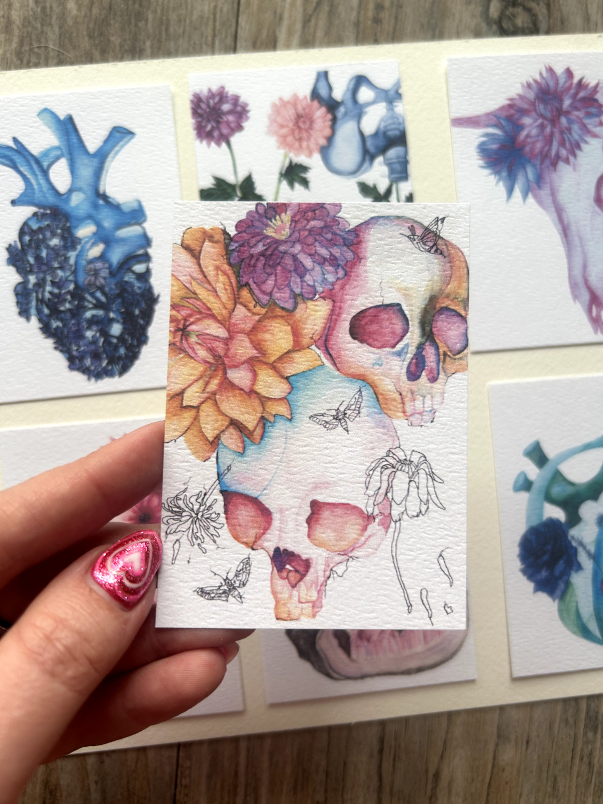 ACEO Edition- Print Sawyer Crane Skulls bones moths life death floral flower