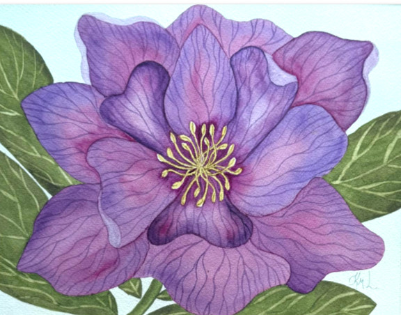 PAINTING WATERCOLOR 11X14 & DOUBLE MAT 16X20 FLOWER HELLEBORE PUPPLE MAROON PINK