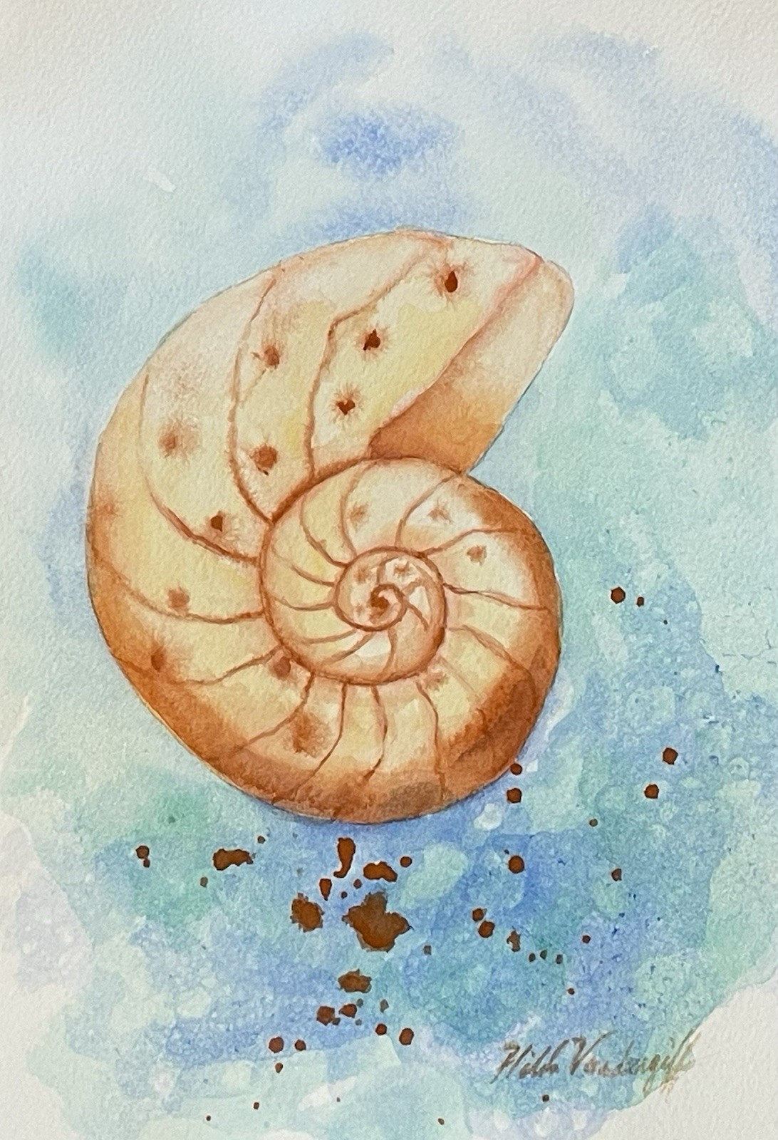 Sea Shell Original Watercolor Painting