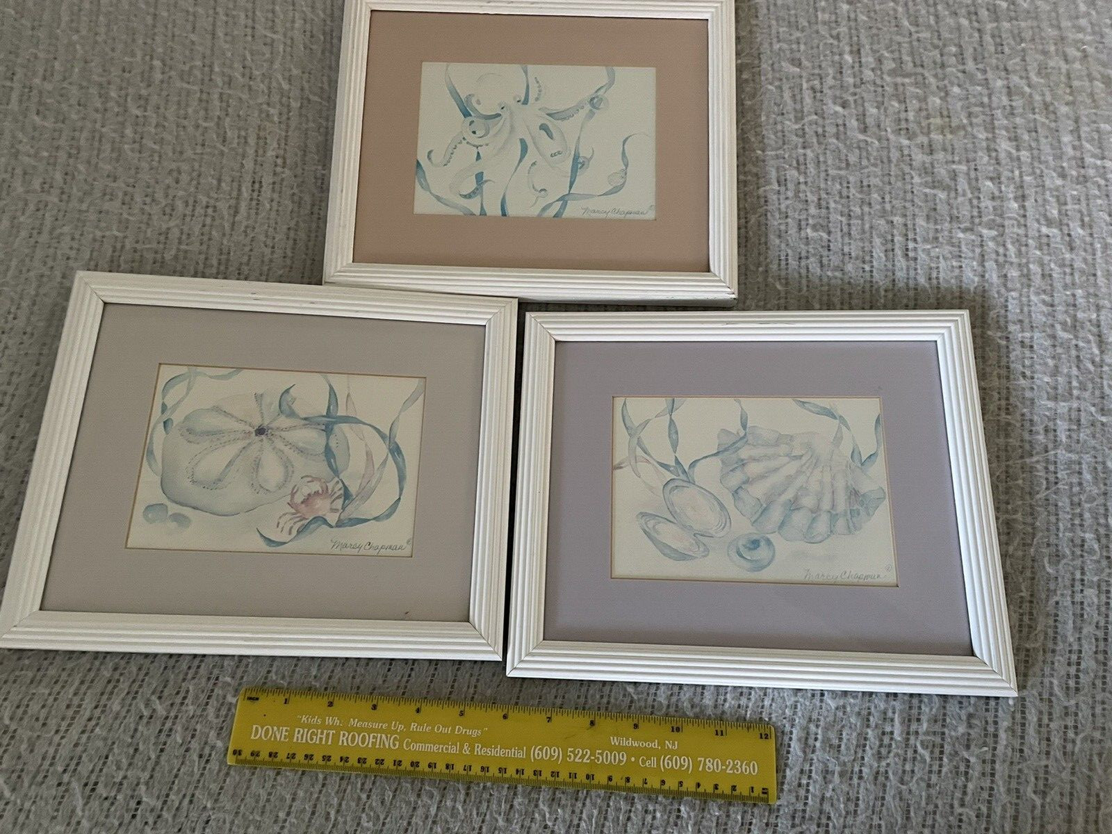(3) Marcy Chapman Signed Matted Framed Art Print Watercolor Sea Life 9.5″x11.5″