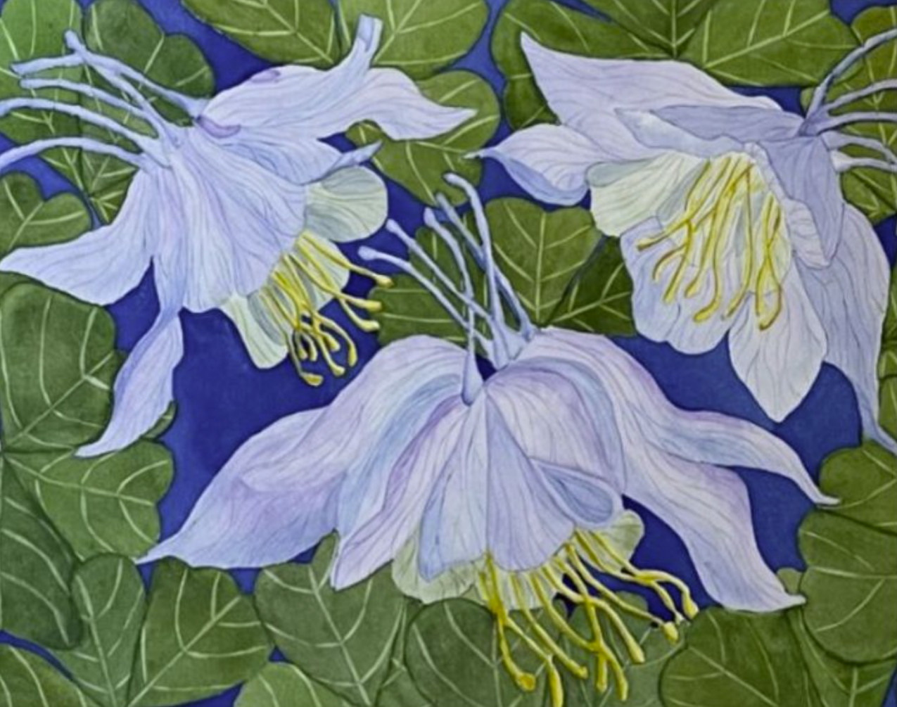 PAINTING WATERCOLOR 11X14 & DOUBLE WHITE MAT 16X20 FLOWER COLUMBINE PURPLE BLUE