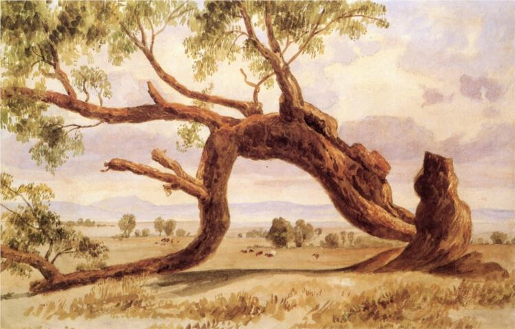 stunning oil painting handpainted on canvas- Fallen Tree