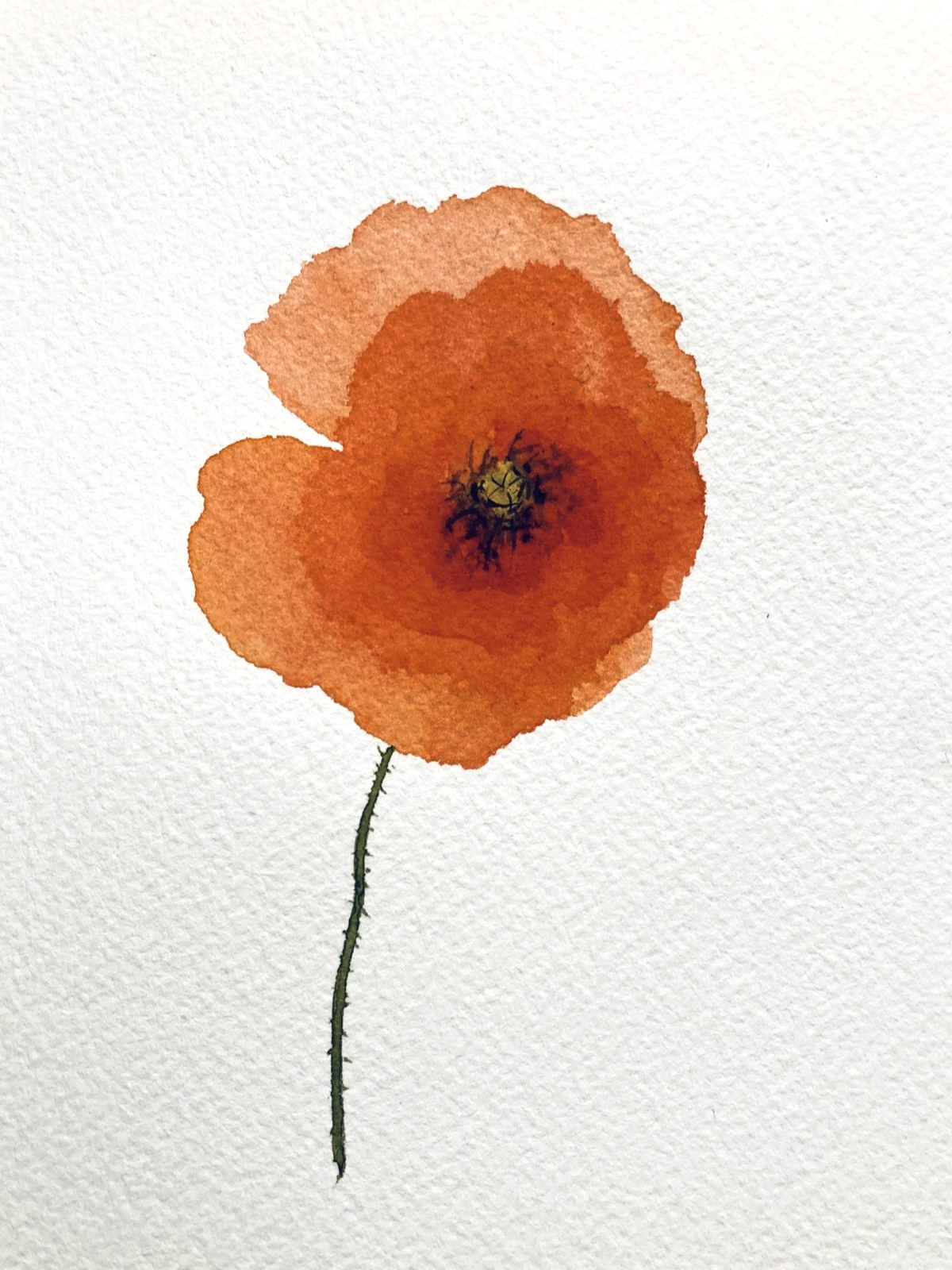 Red Poppy Watercolor Original Art Floral Small