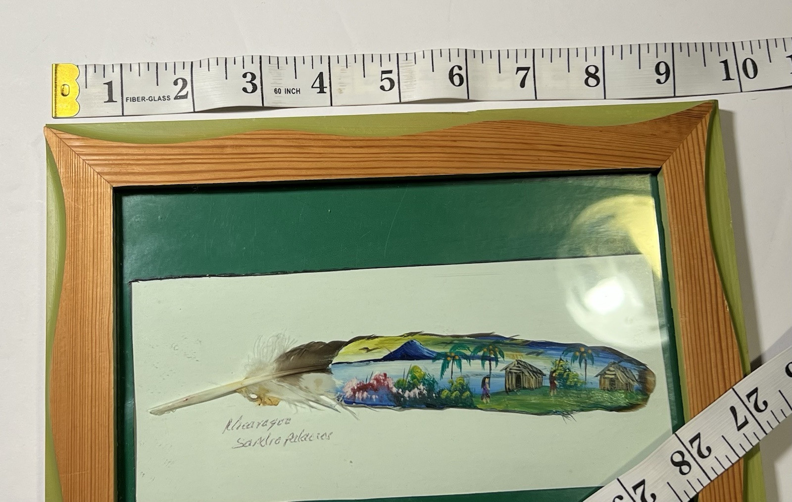 Framed Hand Painted Feather Signed By Artist