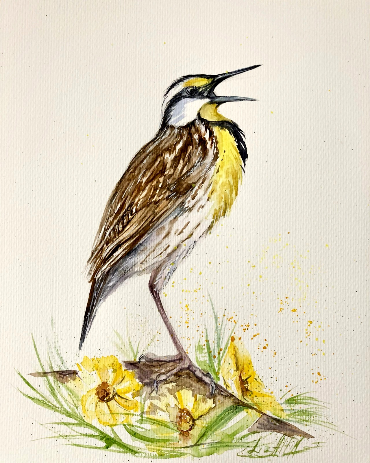 Singing Bird Meadowlark Watercolor Original Painting