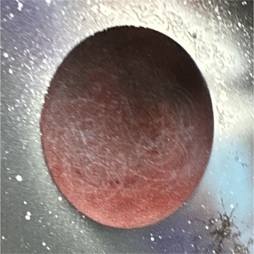 Abstract Outer Space Planet Galaxy Painting on Canvas – Red Planet Starfield