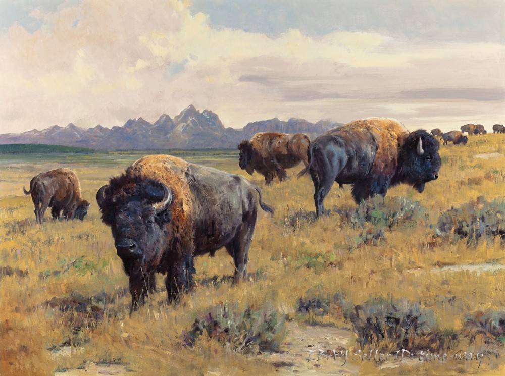 American Bison Bull oil painting Wall art Giclee Printed on canvas P2316