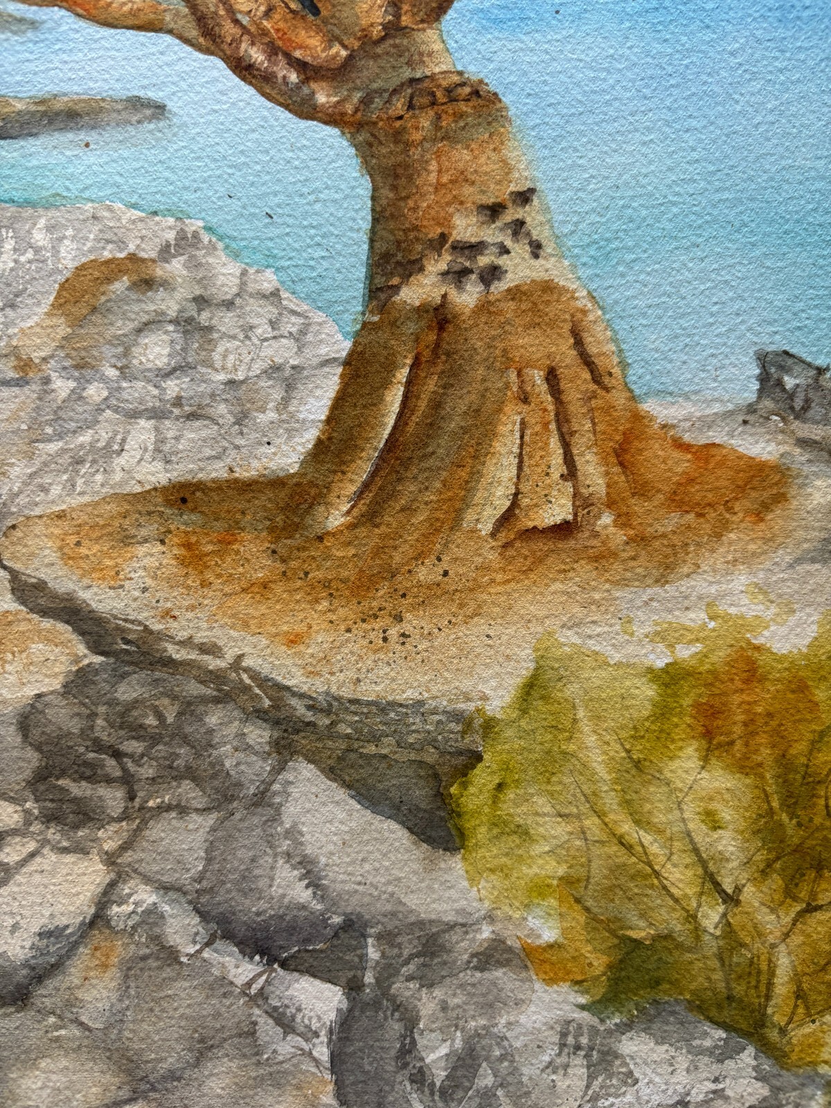 Dragon Tree Original Watercolor Paintin Sukotra Art Home Decor 12*16
