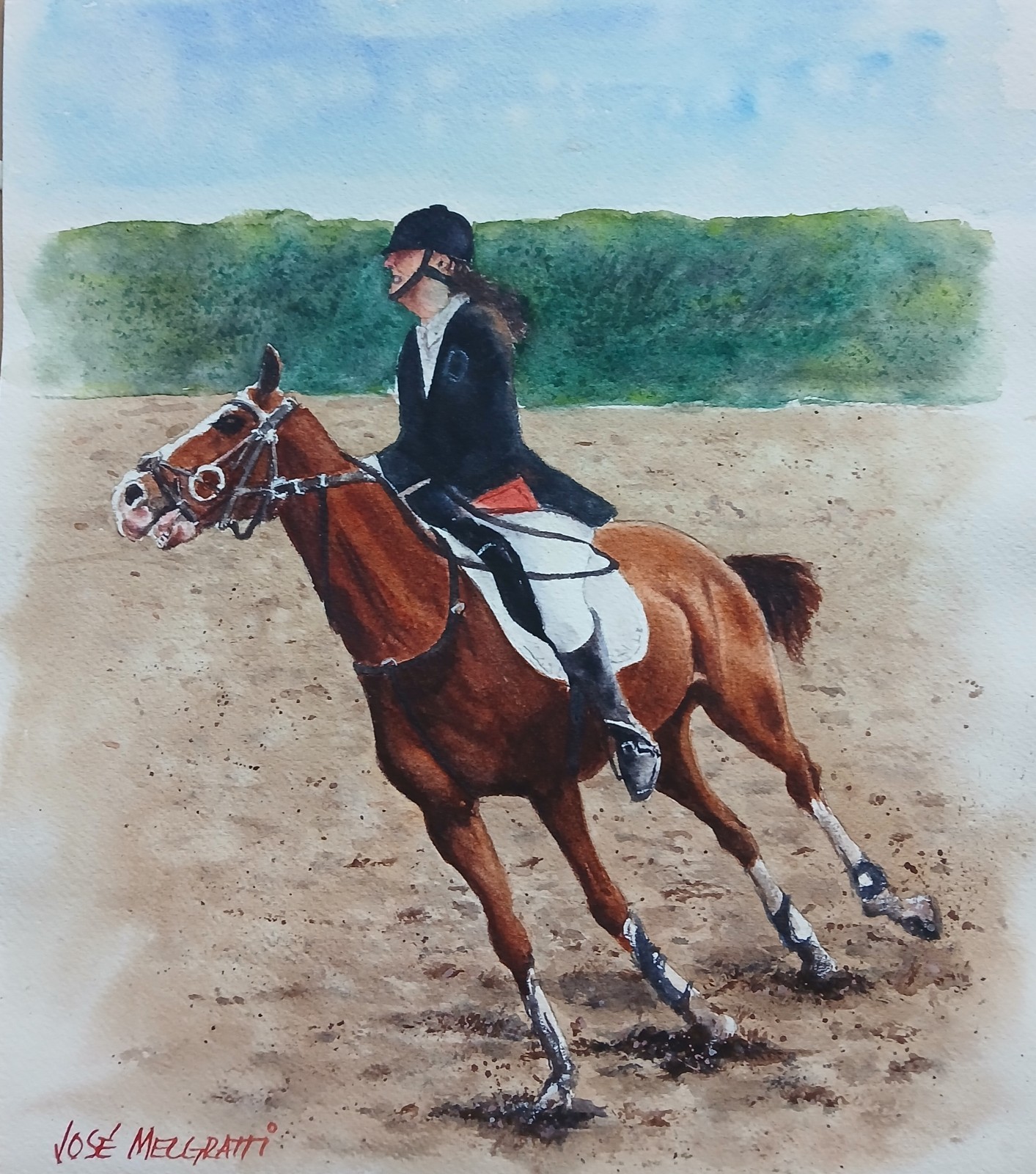 Watercolor Original Painting Gallop 11.1/2″ x 10″ NOT A PRINT