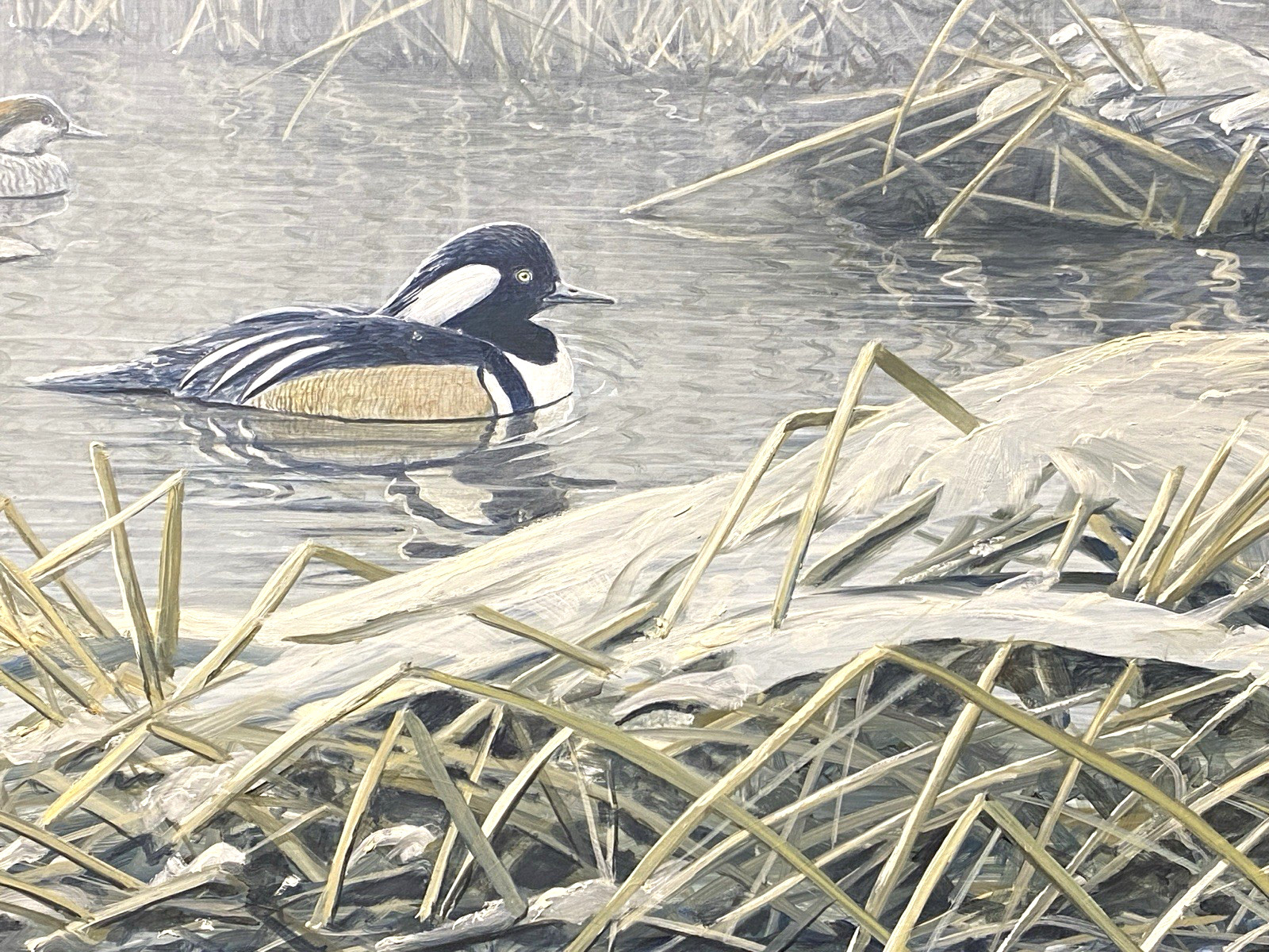 MICHAEL FRASE ORIGINAL BIRD/DUCK ART PAINTING HOODED MERGANSER PAIR, SIGNED, OIL