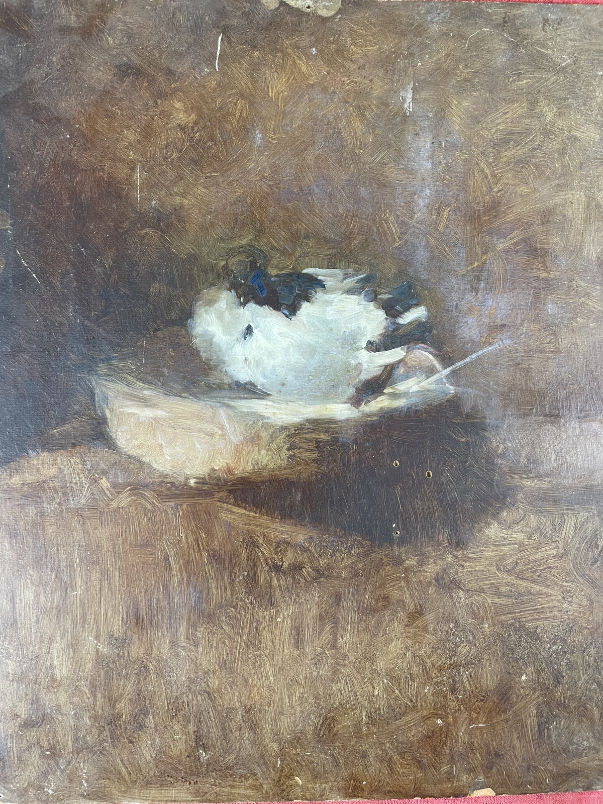 DOVE IN NEST. OIL ON CARDBOARD. NO SIGNATURE. SPAIN. XIX – XX CENTURY