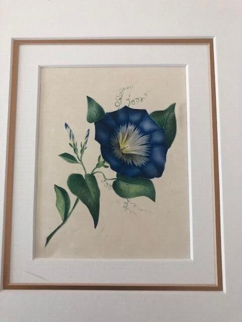 Antique Victorian  Botanical Floral Watercolor Flowers Romantic