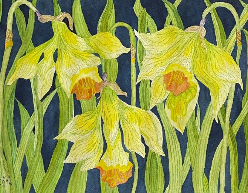 PAINTING WATERCOLOR 11X14 MAT 16X20 FLOWERS DAFFODILS YELLOW GREEN ORIGINAL ART