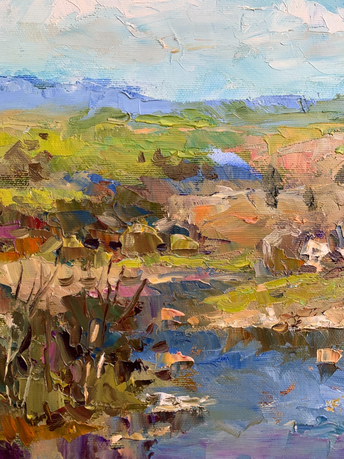 Oil painting Pond Ukrainian painter Canvas Unframed original Decor landscape