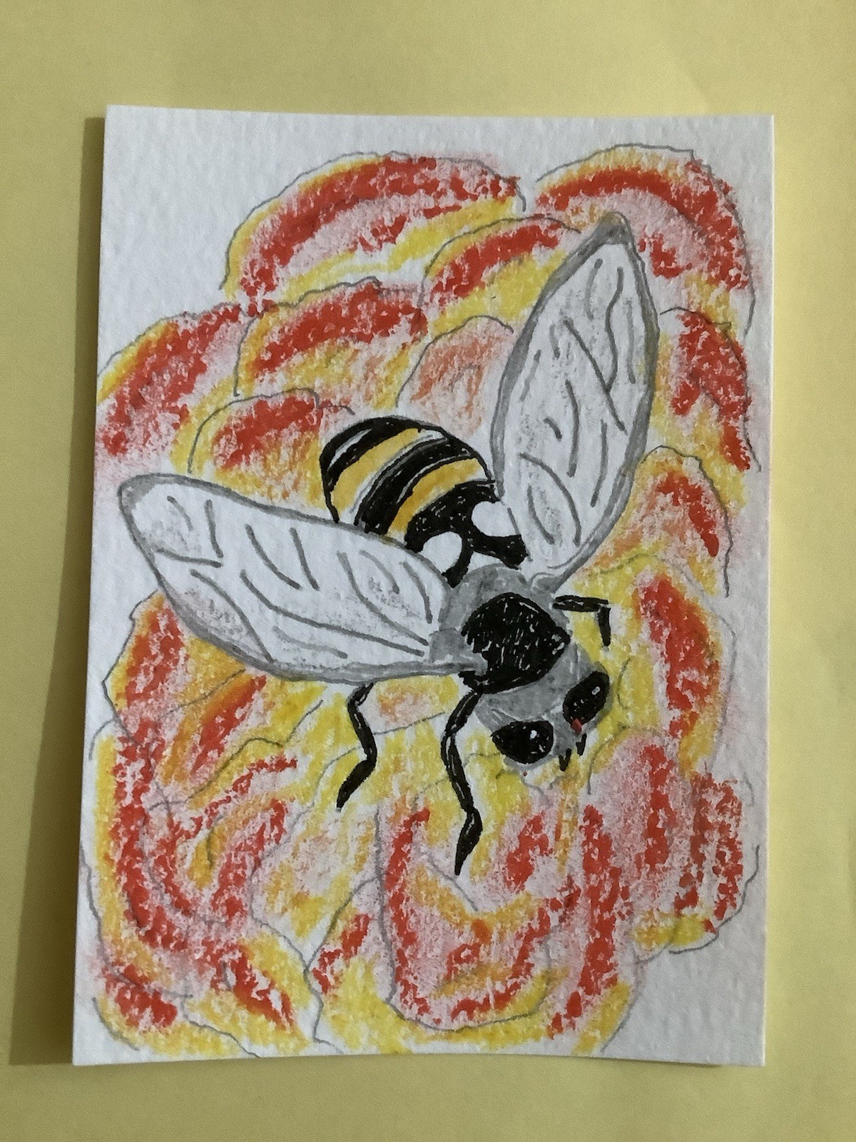 ACEO, ART CARD, OIL PASTEL, WATERCOLOR, INK, INSECT, ORIGINAL