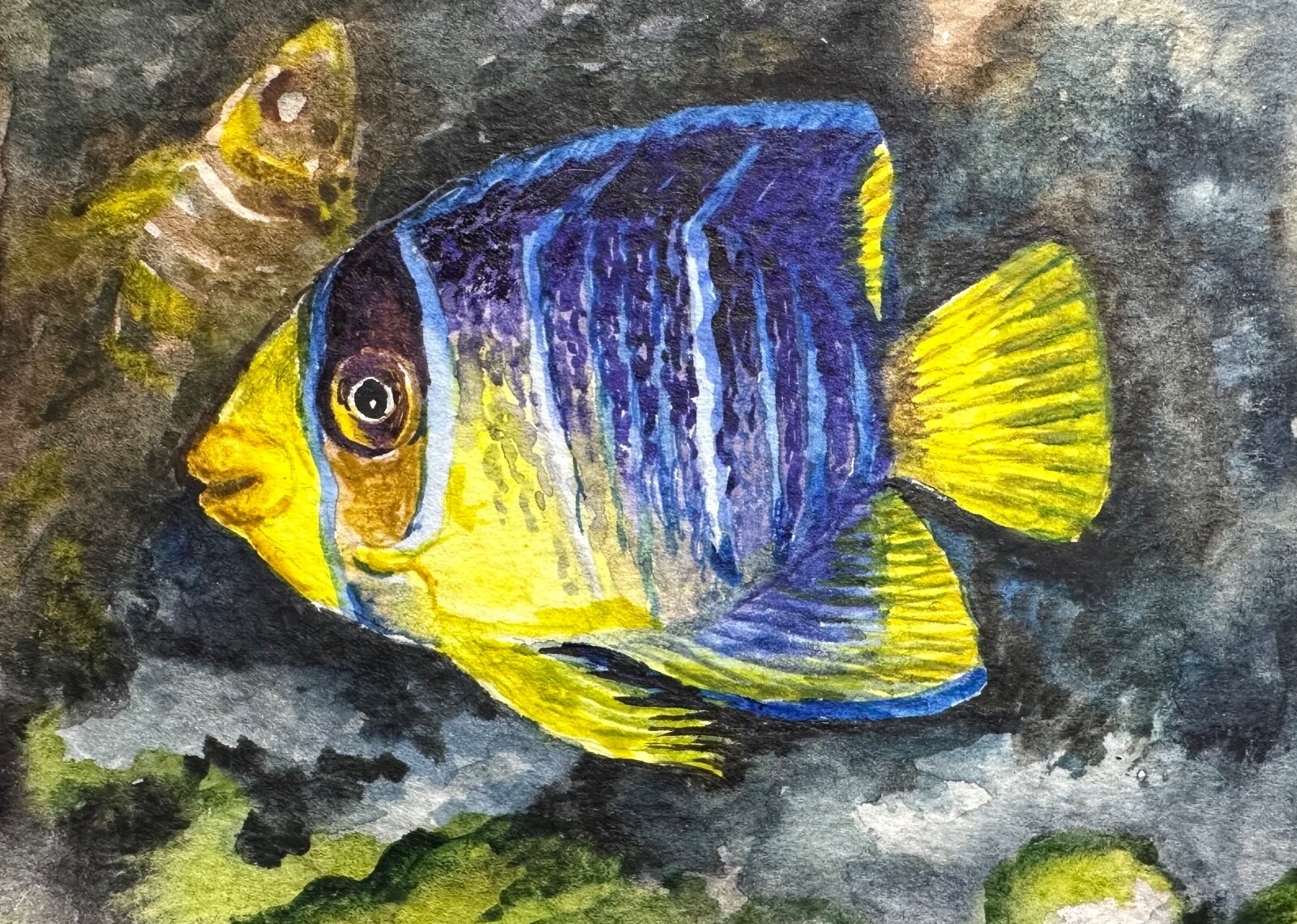 Watercolor Painting Fish Ocean Animals ACEO Art No.302