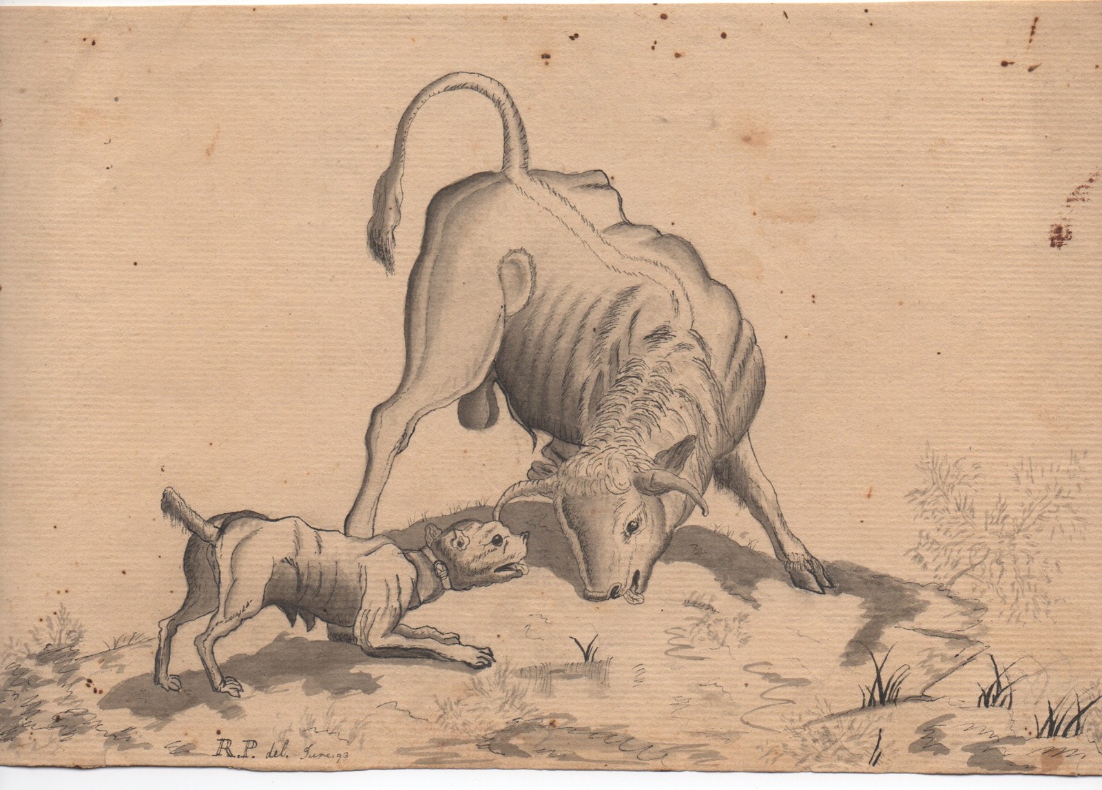 1793 Ink & Watercolor on Paper Drawing of a Bull and Dog signed R.P.