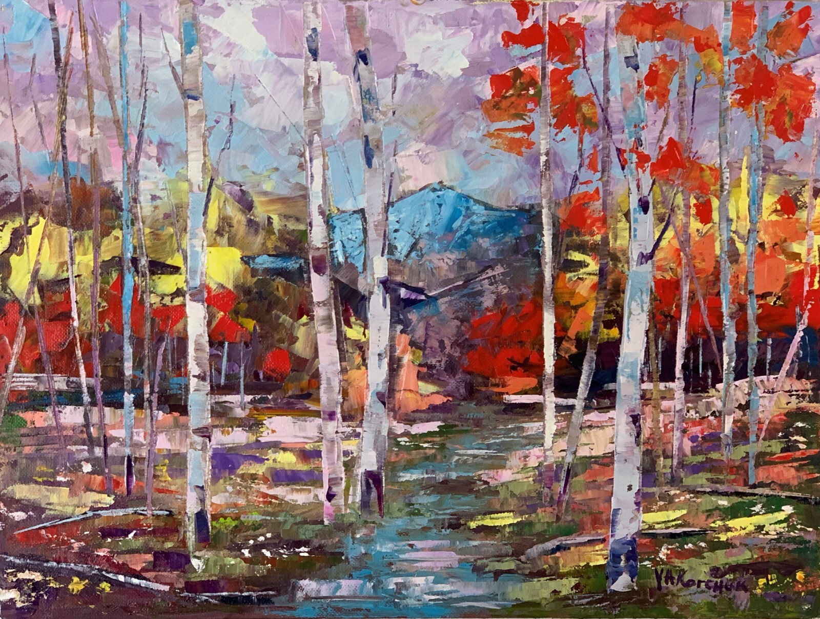 Colorado Fall Mountain Forest