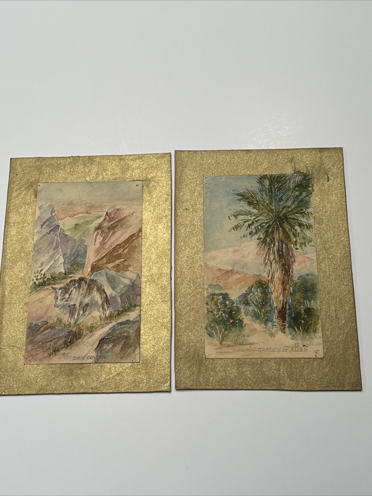 ORIENTALIST LANDSCAPE PAINTING ANTIQUE 1910’S SMALL GARDE OF ALLAH DON COYOTE
