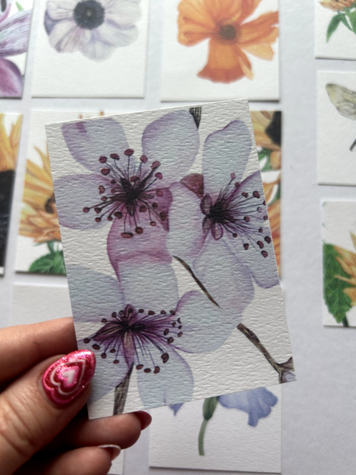 ACEO Edition- Print Sawyer Crane Flower Watercolor Pink Japanese Cherry Blossom