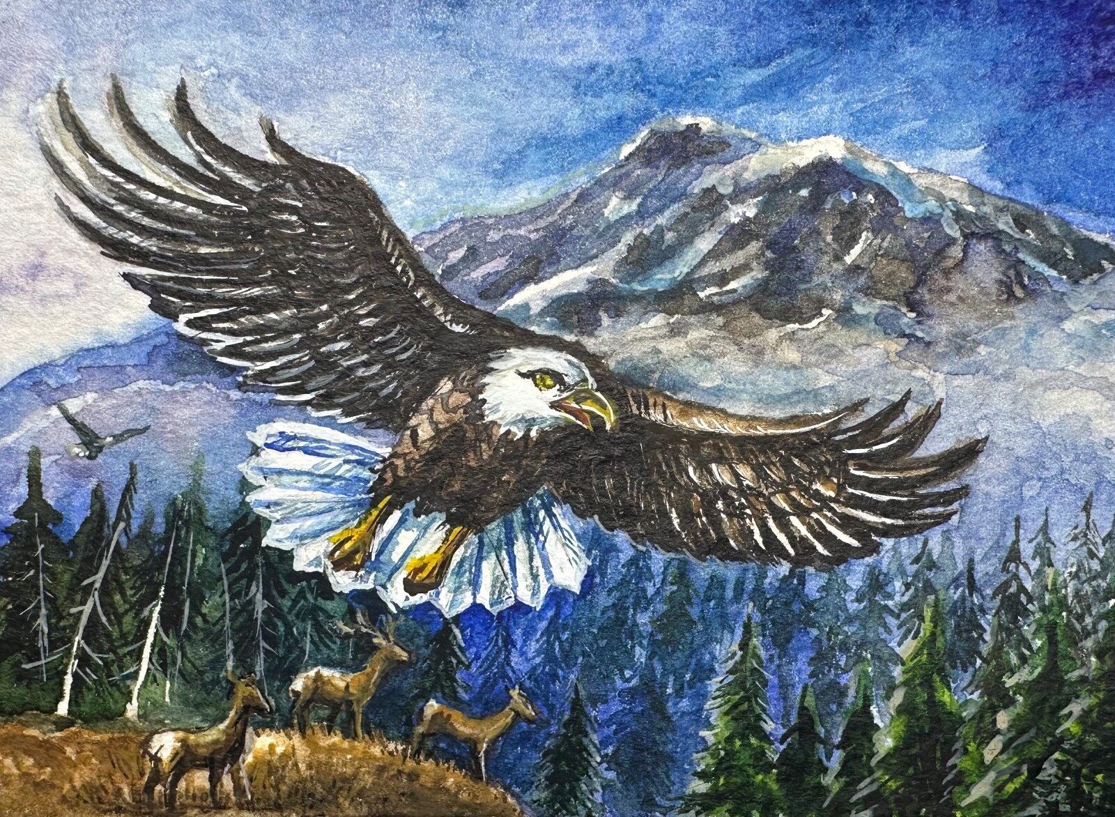 Watercolor Painting Bald Eagle Bird Animals Nature Mountains ACEO Art No.48