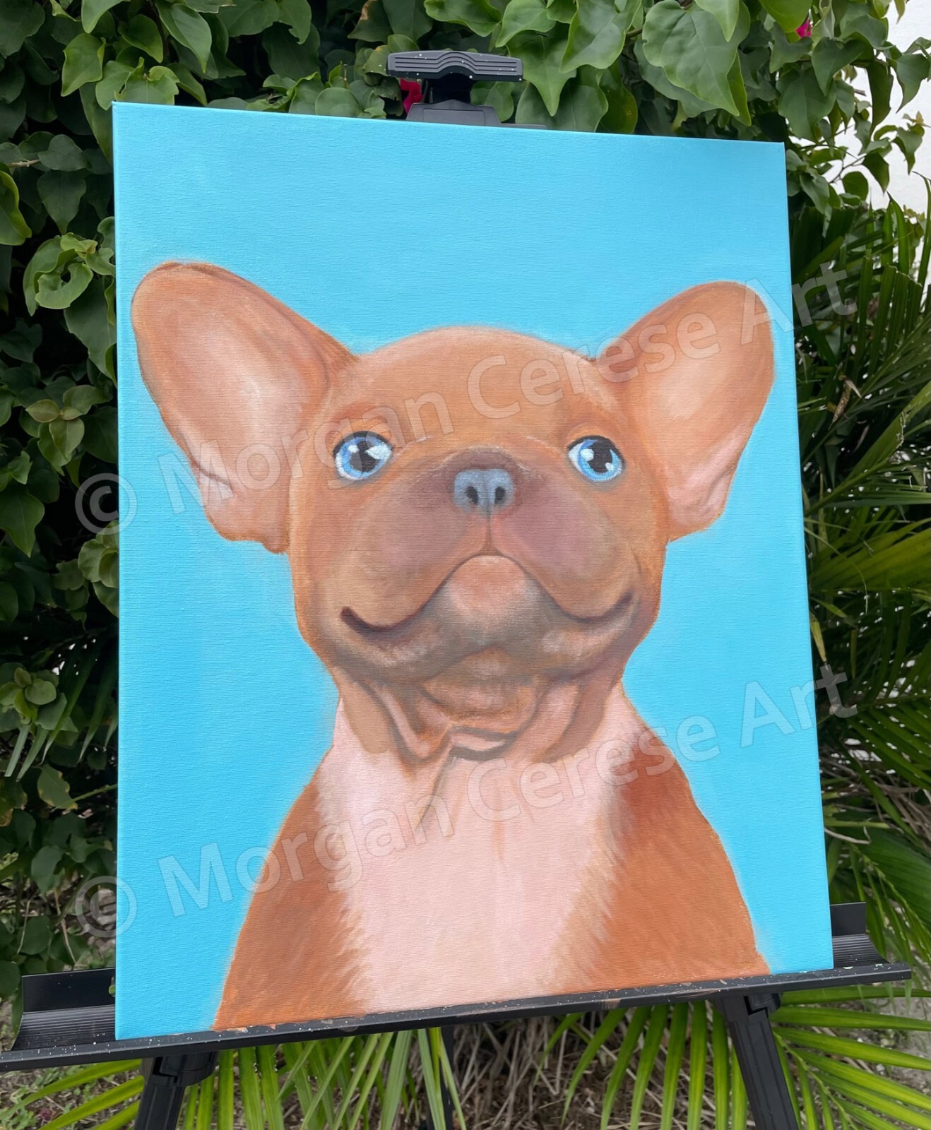 Smiling Frenchie (French Bulldog) Acrylic On Canvas 16×20 inch Painting