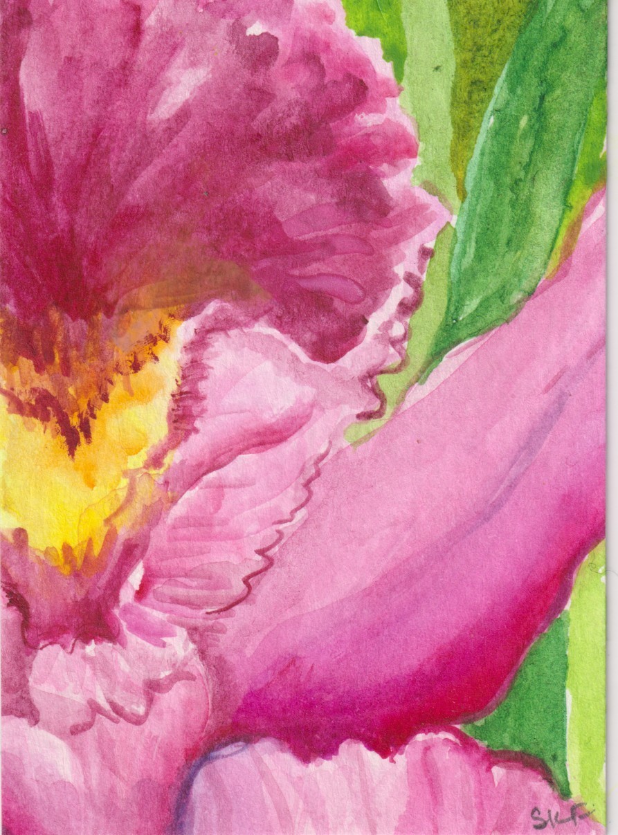 ACEO Original Pink Cattleya Orchid Watercolor Painting, Sharon Foster