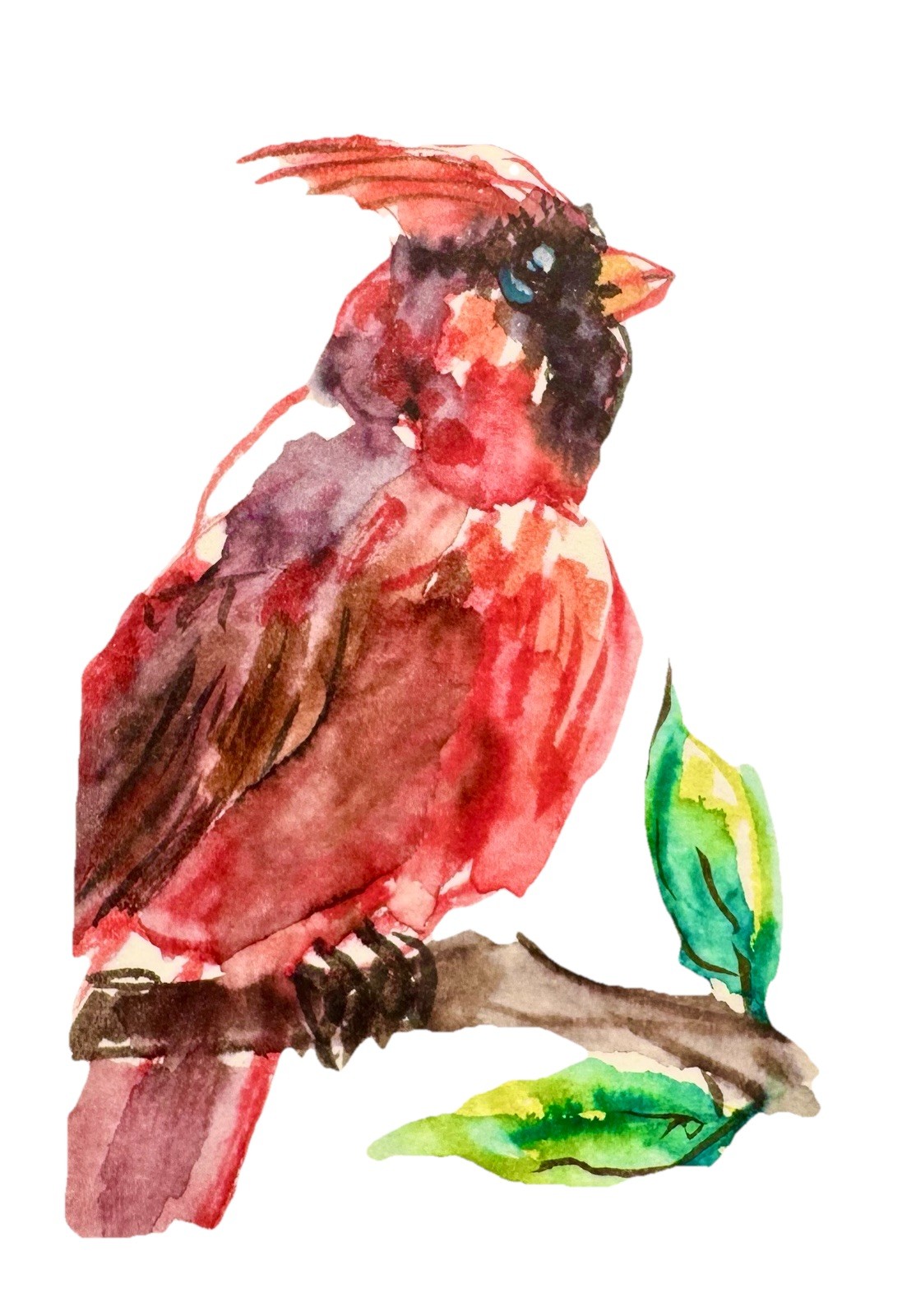 ACEO Watercolor Red Cardinal Bird ORIGINAL Art ATC Painting Miniature 2.5×3.5″