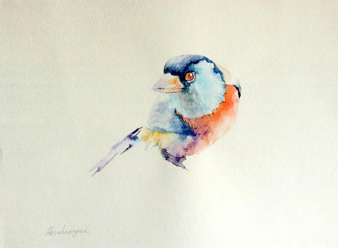 Toucan Barbet, Birds, Watercolor artwork, Handmade, Original painting on paper