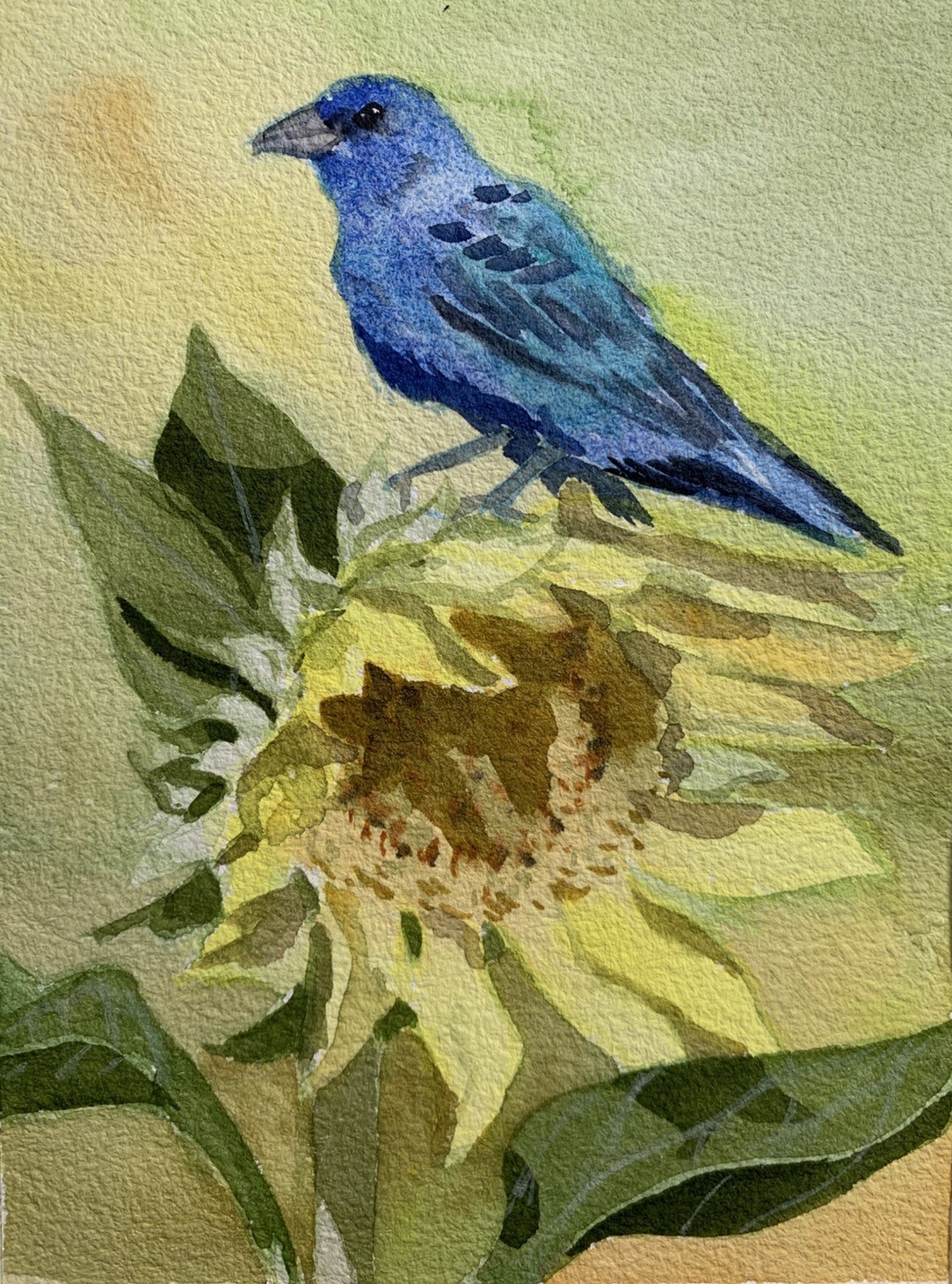 Original watercolor Indigo Bunting on Sunflower bird painting small wall artwork
