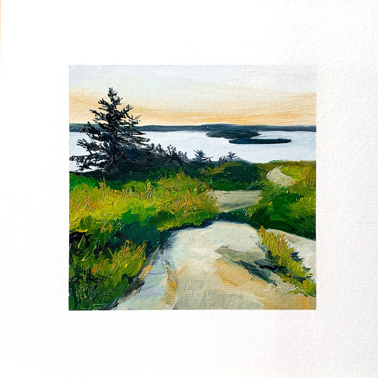 8×8 Maine Original Oil Painting Acadia Seascape Cadillac Mountain Coastal Signed