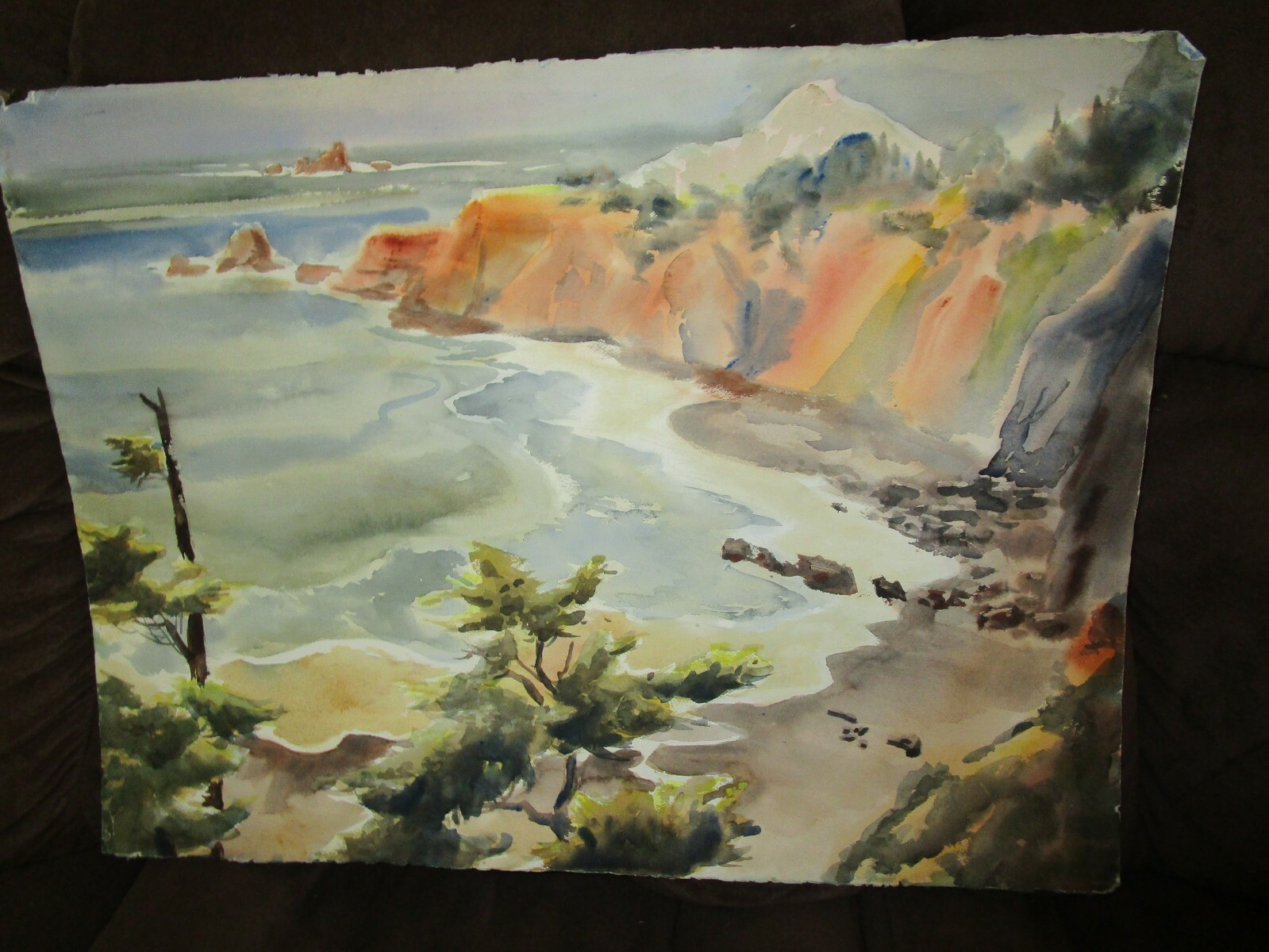 Original Watercolor By Peg Humphreys, California Cove & Cattle Barn 30″x 22″