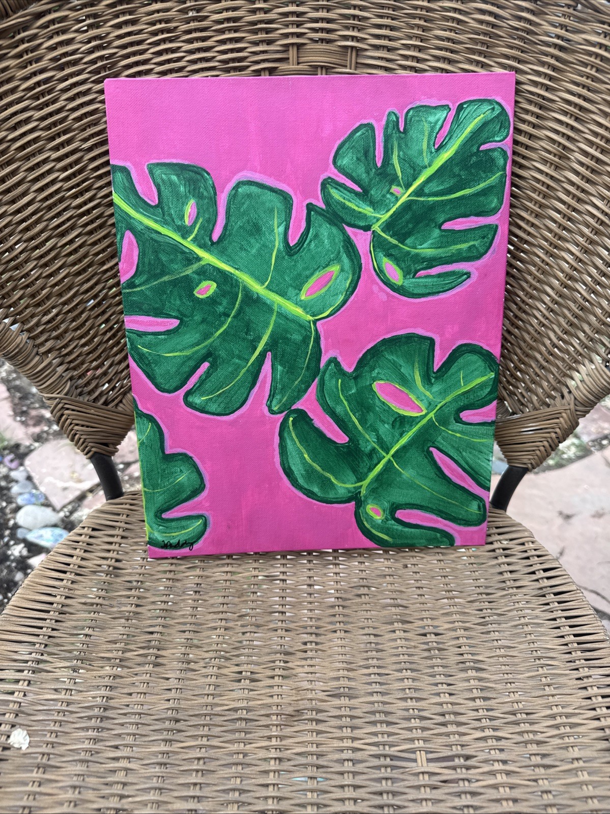 Monstera plant leaves