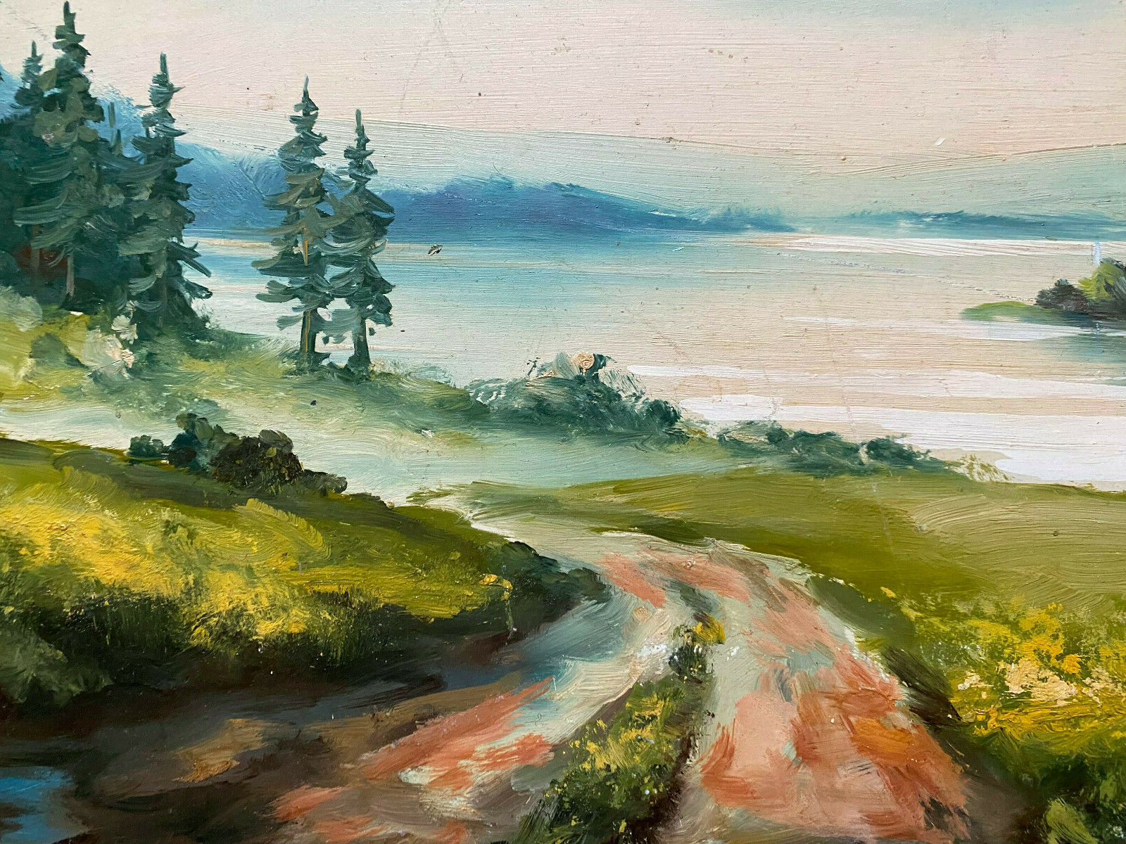 Monogram St.Forest Lake Panorama View Ins Country Insel Fir Field Path Meadows