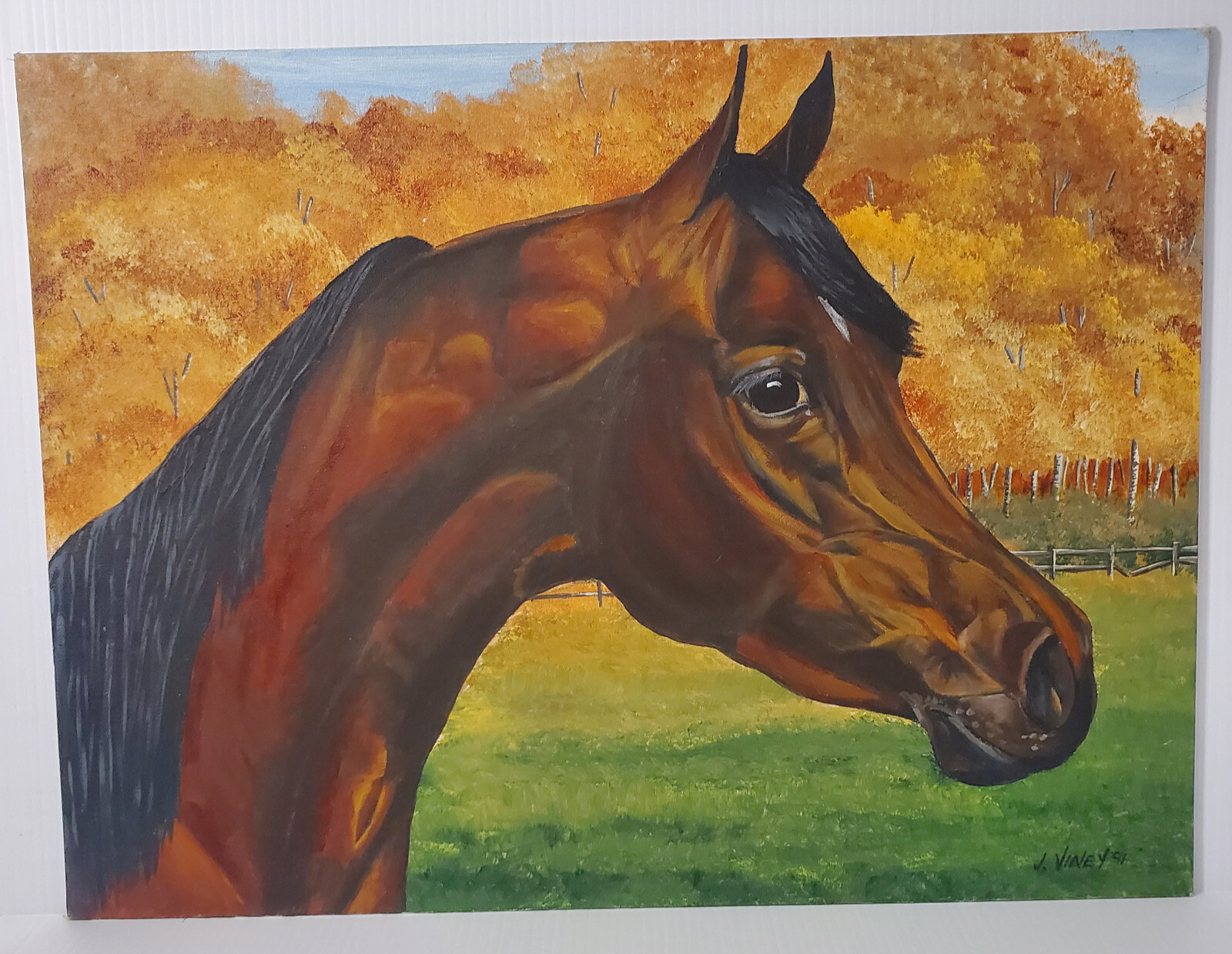 J. Viney ’91 Signed 18×24 Oil Painting Vtg 1991 Arabian Horse Pasture Landscape