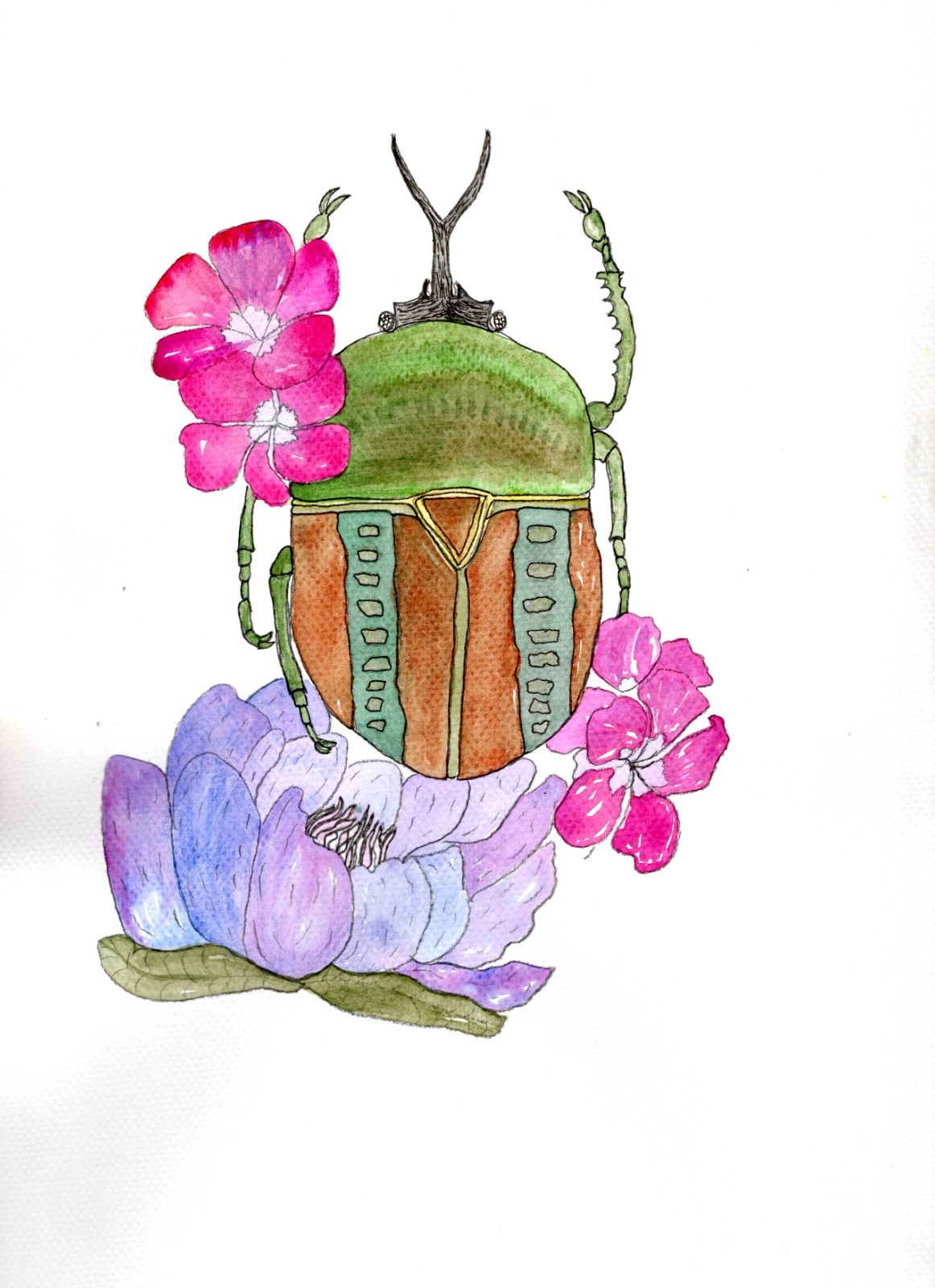 ACEO Limited Edition Art Print Nature Numbered Prints Watercolor Ink 1 of 15
