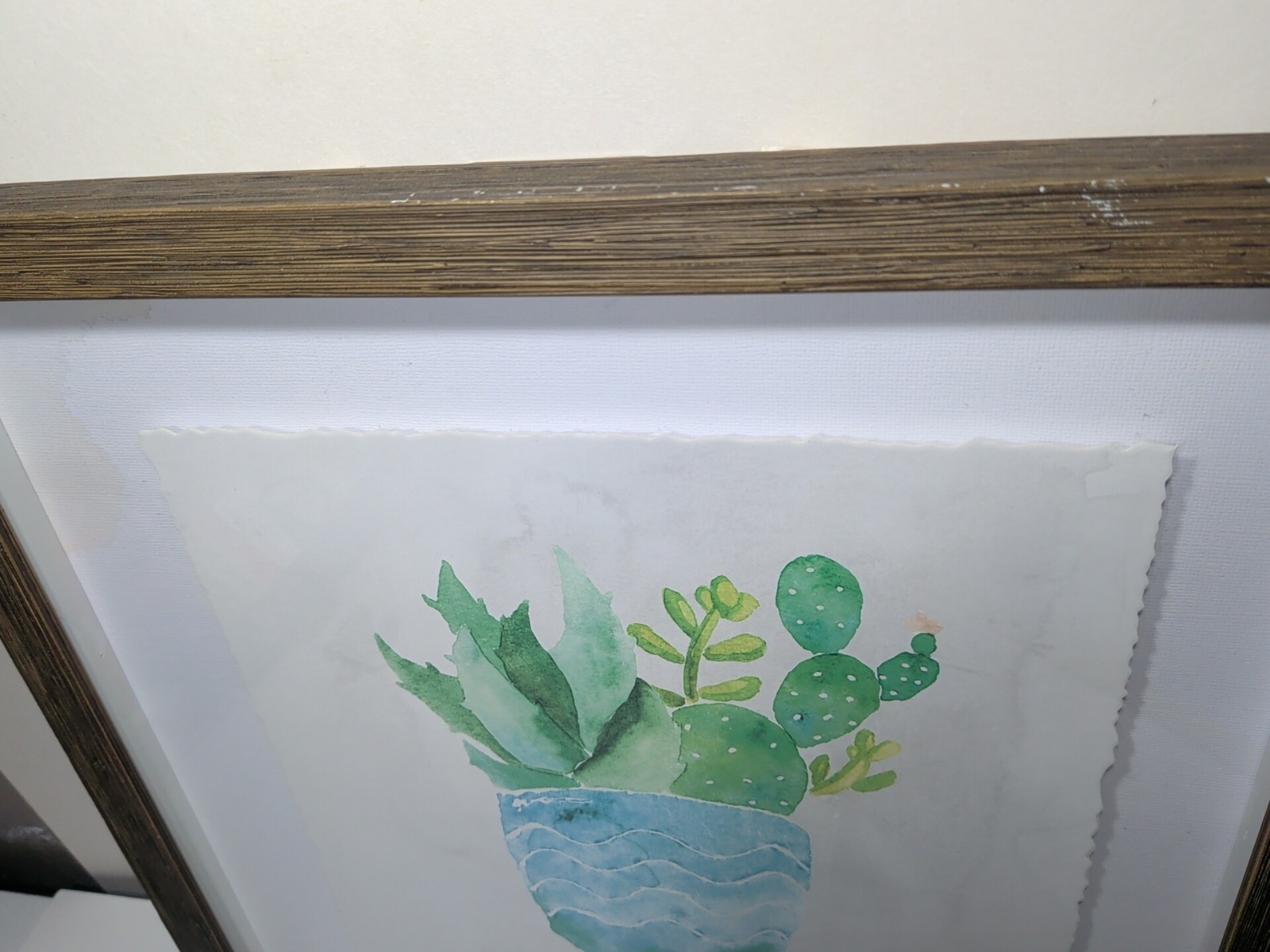 ✨New✨ Floating Framed Watercolor on Paper Succulents 14″X14″ – Framed Artwork