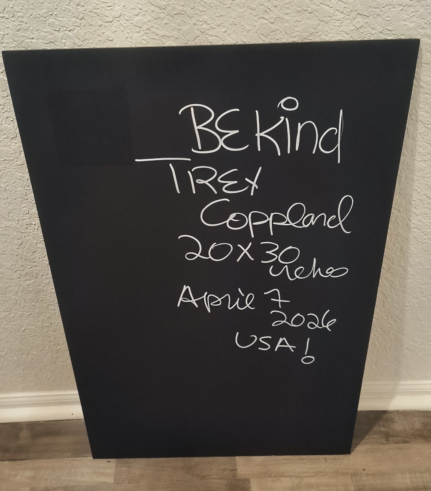 Trey Coppland, Be Kind Abstract Cat Acrylic Painting, 20+30 in, 2026, Signed