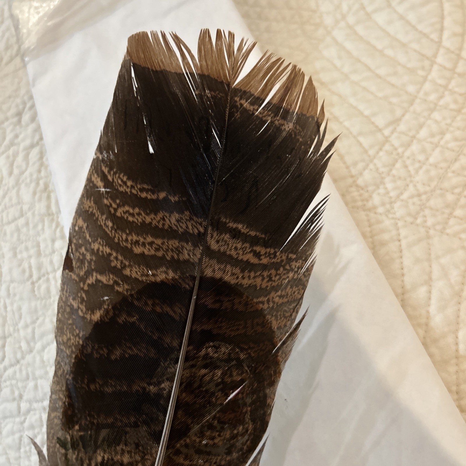 Hand Painted Turkey Feather. Signed Marte Erb. School Auction 6/18/2010. No. 69.