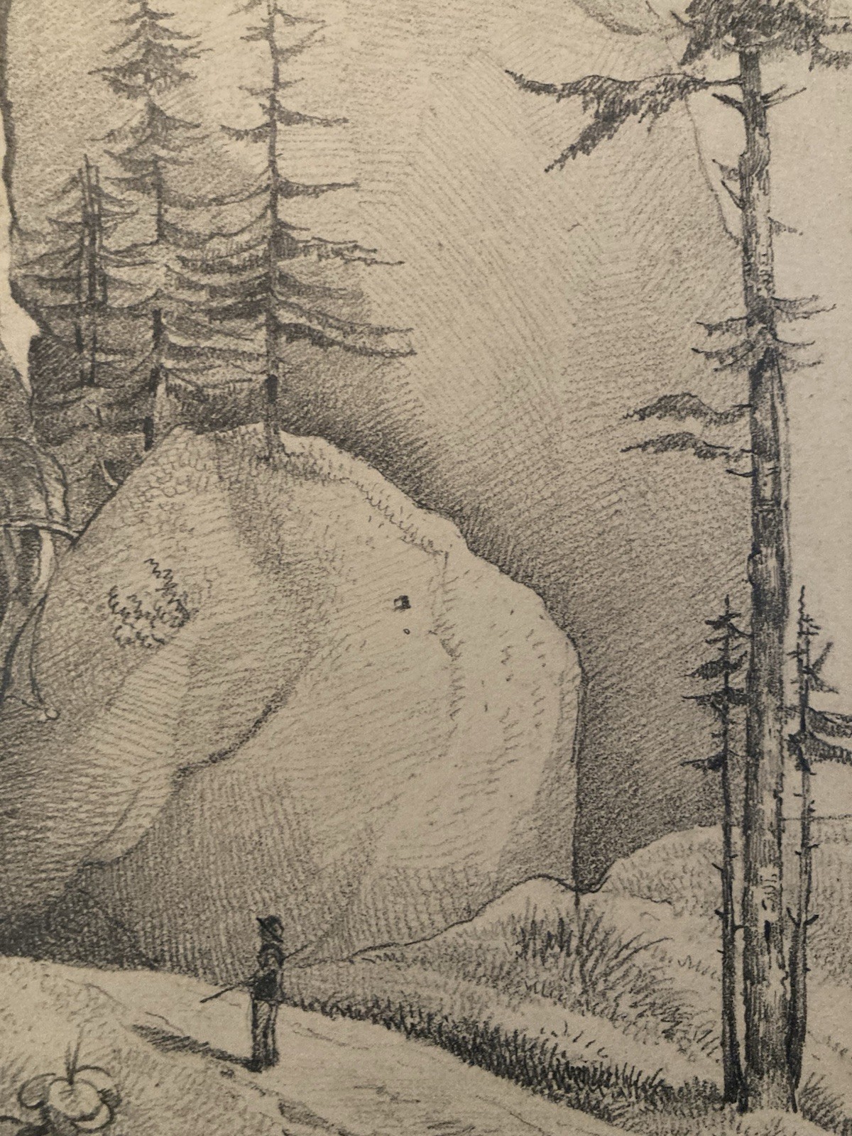 Very Nice Drawing Xixth 1830 Rocher Pencil Swiss? Shaft Foret Antique Alps Art