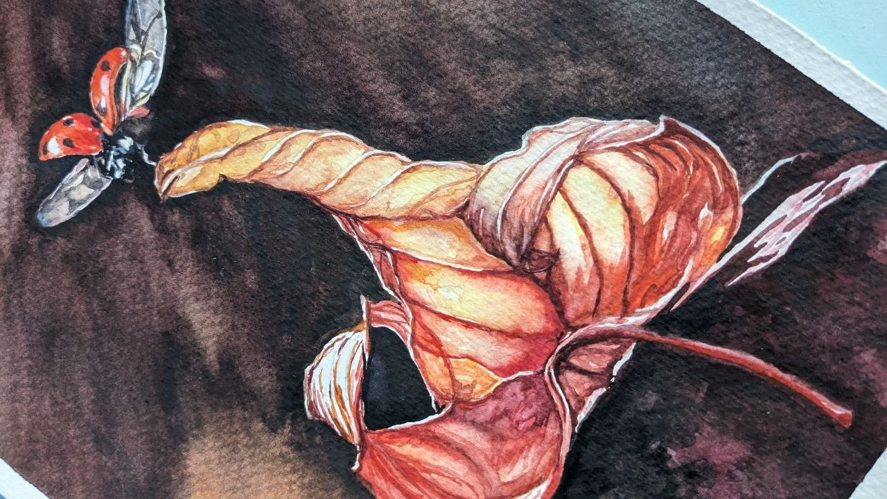 Autumn Orange Leaf & Ladybug Watercolor Painting Seasonal Fall Flying Insect Art