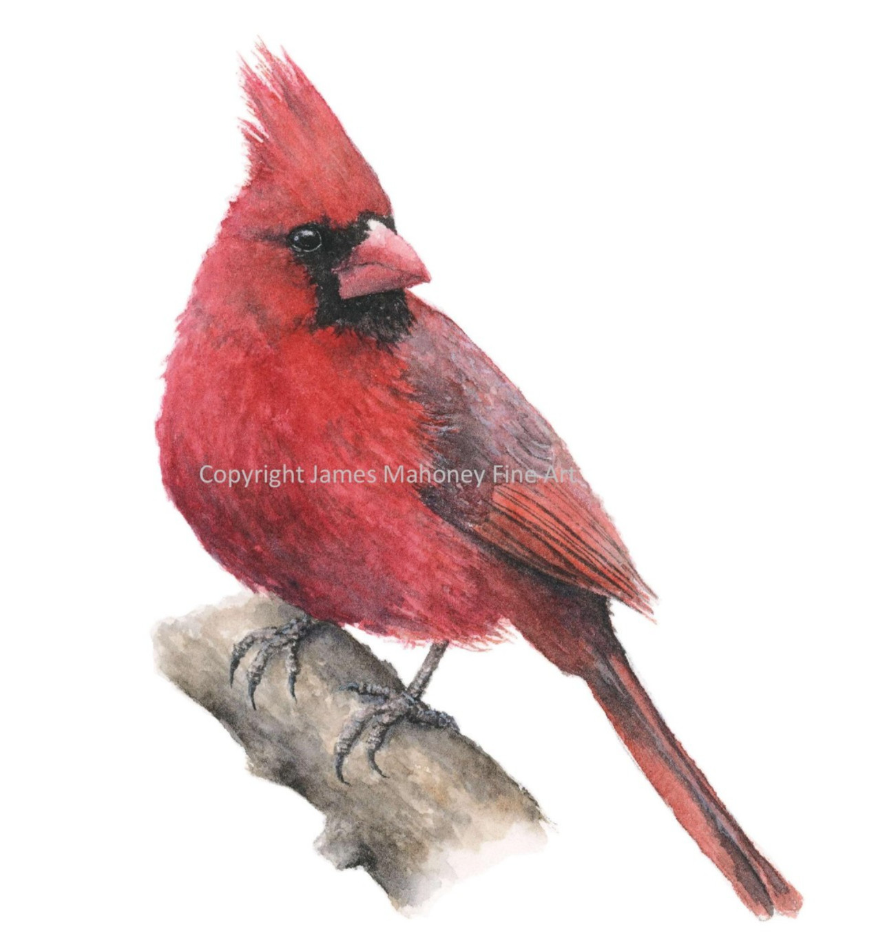 Cardinal 01 Giclee Print of Hand-Painted Watercolor, Unframed