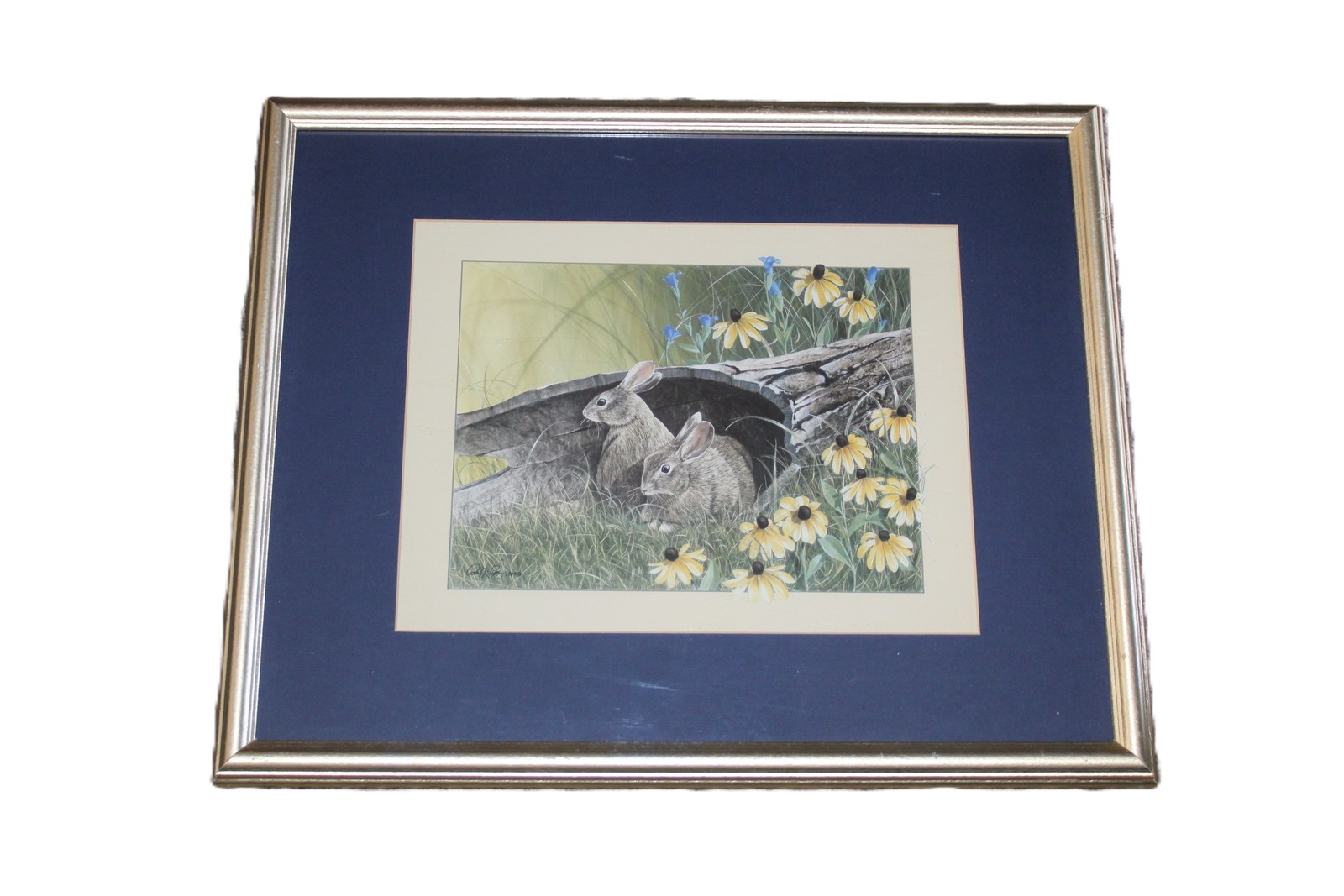 C. Van Hout Framed Rabbit Wildlife Art Print Woodland Bunnies Flowers