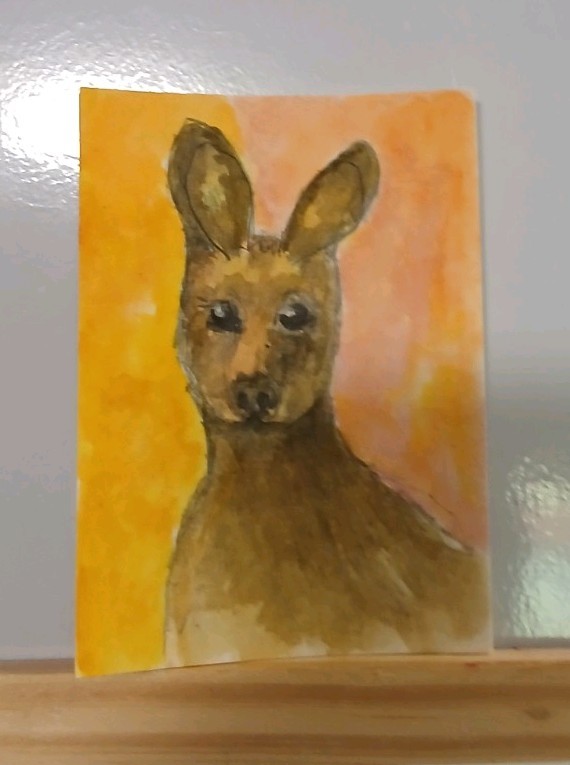 kangaroo
